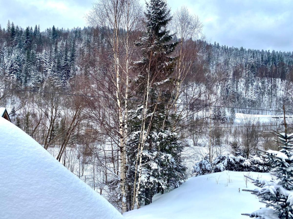 Вилла Chalet Four Seasons Татаров Экстерьер фото